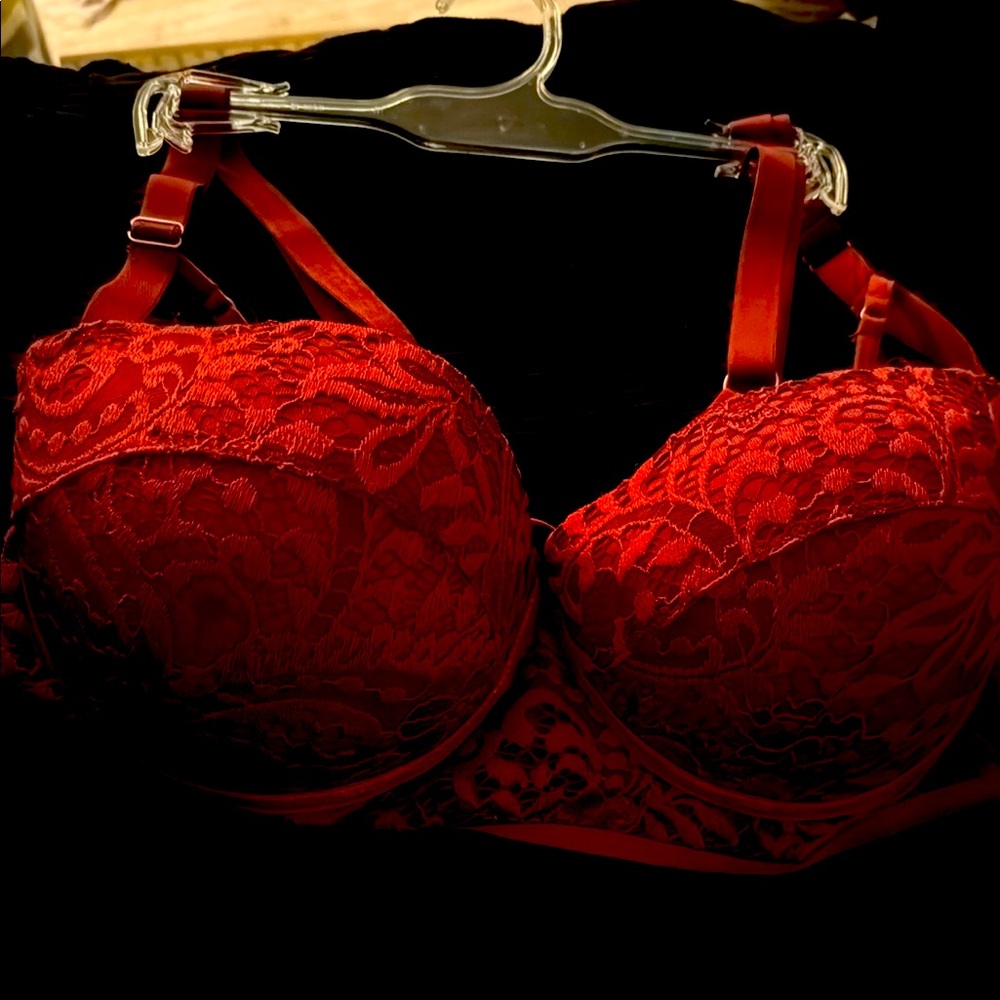 Fantasy Lingerie Bra in deep Red/burgundy Lace Bra